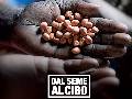 ARCHIVIO VIDEO :: MCL :: Dal Seme al Cibo - Parte 1