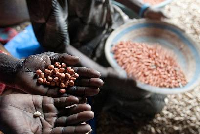 TRAGUARDI SOCIALI / n.74 Ottobre / Novembre 2015 :: Campagna “Dal Seme al Cibo. Vince Fame e Povertà”