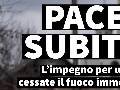 STAMPA E PUBBLICAZIONI :: News e Articoli Comunicati :: PACE SUBITO: l'impegno per un cessate il fuoco immediato